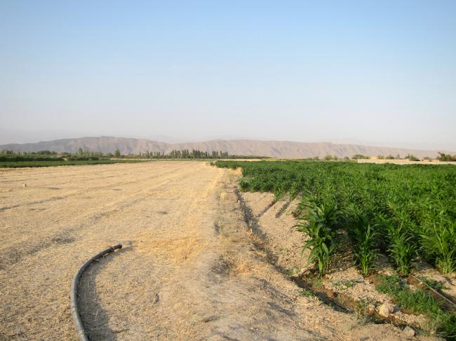 Enlarged view: Agricultural groundwater control in Iran
