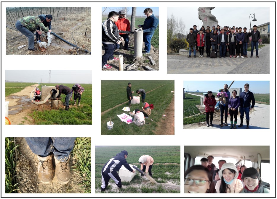 Collage images of the March field trip in Guantao